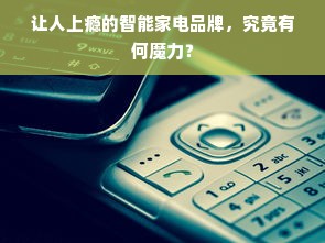 让人上瘾的智能家电品牌，究竟有何魔力？