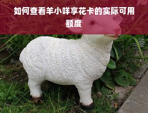 如何查看羊小咩享花卡的实际可用额度