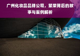 广州化妆品品牌公司，繁荣背后的故事与案例解析