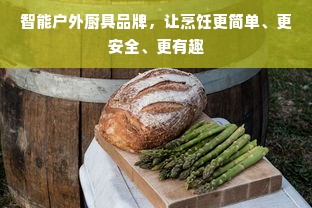 智能户外厨具品牌，让烹饪更简单、更安全、更有趣