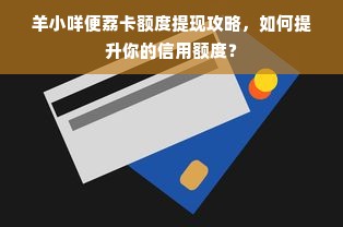 羊小咩便荔卡额度提现攻略，如何提升你的信用额度？