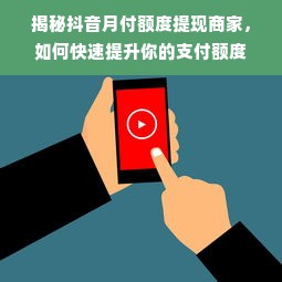 揭秘抖音月付额度提现商家，如何快速提升你的支付额度