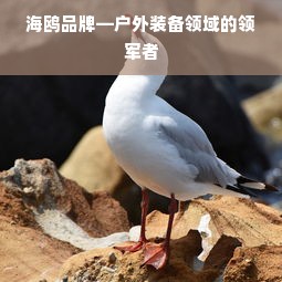 海鸥品牌—户外装备领域的领军者