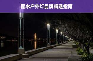 丽水户外灯品牌精选指南