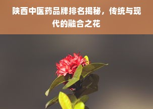 陕西中医药品牌排名揭秘，传统与现代的融合之花