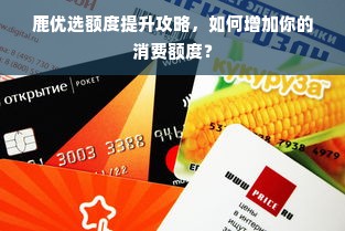鹿优选额度提升攻略，如何增加你的消费额度？