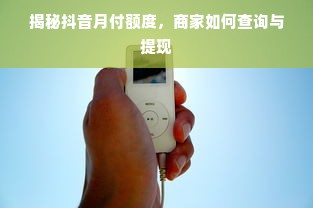 揭秘抖音月付额度，商家如何查询与提现