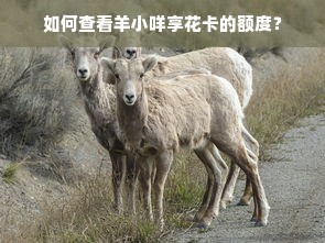 如何查看羊小咩享花卡的额度？