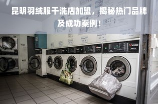 昆明羽绒服干洗店加盟，揭秘热门品牌及成功案例！