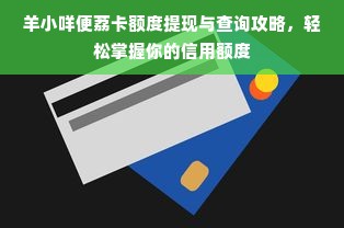 羊小咩便荔卡额度提现与查询攻略，轻松掌握你的信用额度