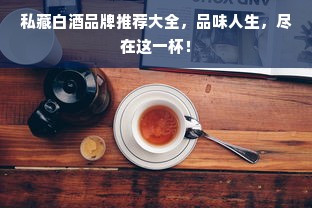 私藏白酒品牌推荐大全，品味人生，尽在这一杯！
