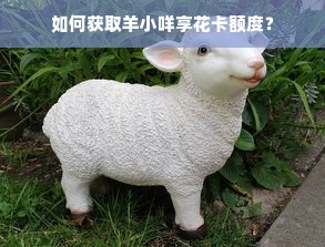 如何获取羊小咩享花卡额度？