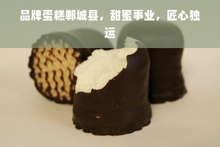 品牌蛋糕郸城县，甜蜜事业，匠心独运