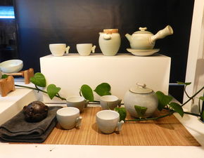 家用茶叶机品牌推荐，轻松泡茶，享受生活！