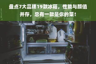 盘点7大品牌19款冰箱，性能与颜值并存，总有一款是你的菜！