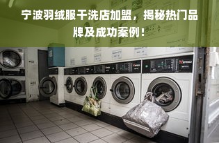 宁波羽绒服干洗店加盟，揭秘热门品牌及成功案例！