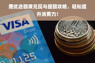 淘宝先用后付额度提升攻略，商家操作指南与实例解析