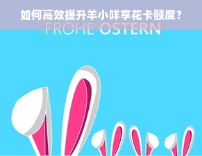 如何高效提升羊小咩享花卡额度？