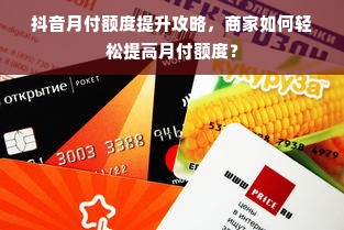 抖音月付额度提升攻略，商家如何轻松提高月付额度？