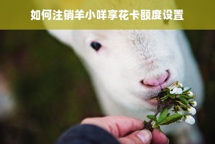 如何注销羊小咩享花卡额度设置