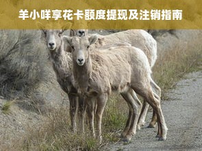 羊小咩享花卡额度提现及注销指南
