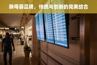 陕母婴品牌，传统与创新的完美结合