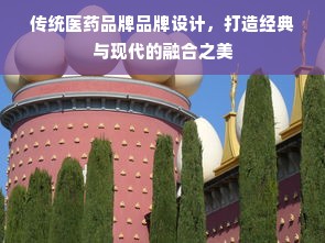 传统医药品牌品牌设计，打造经典与现代的融合之美