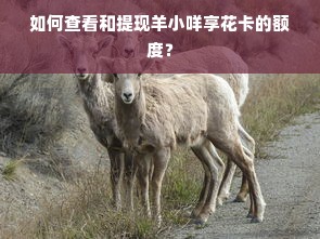 如何查看和提现羊小咩享花卡的额度？