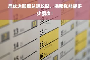鹿优选额度兑现攻略，揭秘你能提多少额度！