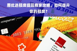 鹿优选额度提现商家攻略，如何提升你的额度？