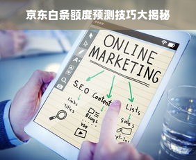 京东白条额度预测技巧大揭秘