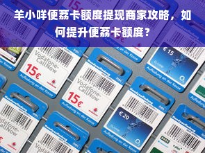 羊小咩便荔卡额度提现商家攻略，如何提升便荔卡额度？