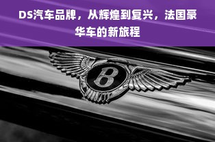 DS汽车品牌，从辉煌到复兴，法国豪华车的新旅程