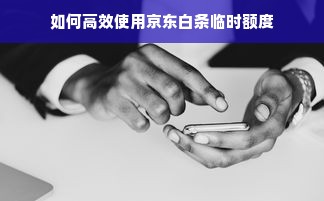如何高效使用京东白条临时额度