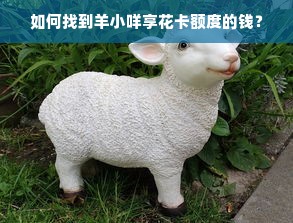 如何找到羊小咩享花卡额度的钱？