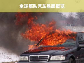 全球部队汽车品牌概览