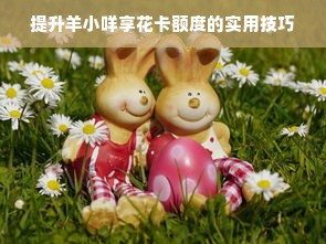 提升羊小咩享花卡额度的实用技巧