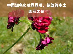 中国知名化妆品品牌，绽放的本土美丽之花