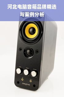 河北电脑音箱品牌精选与案例分析