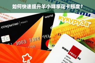 如何快速提升羊小咩享花卡额度？