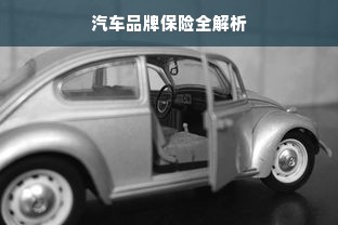 汽车品牌保险全解析