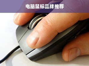 电脑鼠标品牌推荐