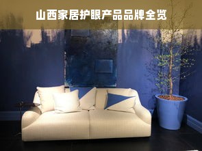 山西家居护眼产品品牌全览