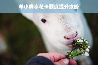 羊小咩享花卡额度提升攻略