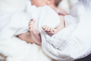 母婴品牌笔记，从孕期到婴幼儿养育的全方位解析