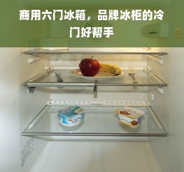 商用六门冰箱，品牌冰柜的冷门好帮手
