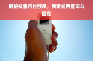 揭秘抖音月付额度，商家如何查询与提现