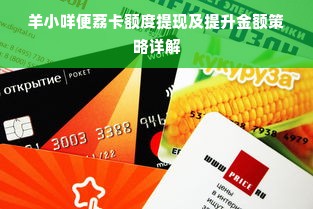 羊小咩便荔卡额度提现及提升金额策略详解
