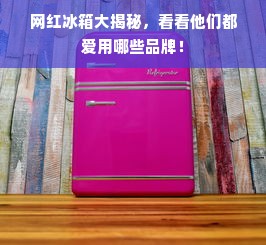 网红冰箱大揭秘，看看他们都爱用哪些品牌！