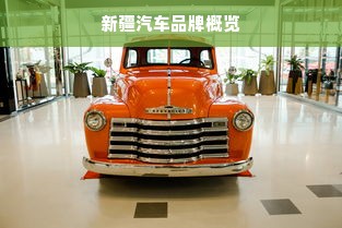 新疆汽车品牌概览
